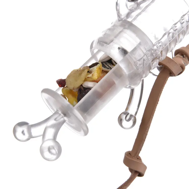 Sud Úkryt – interaktivní hračka pro všechny papoušky | Nauka žerowania od ParrotPlanet.cz