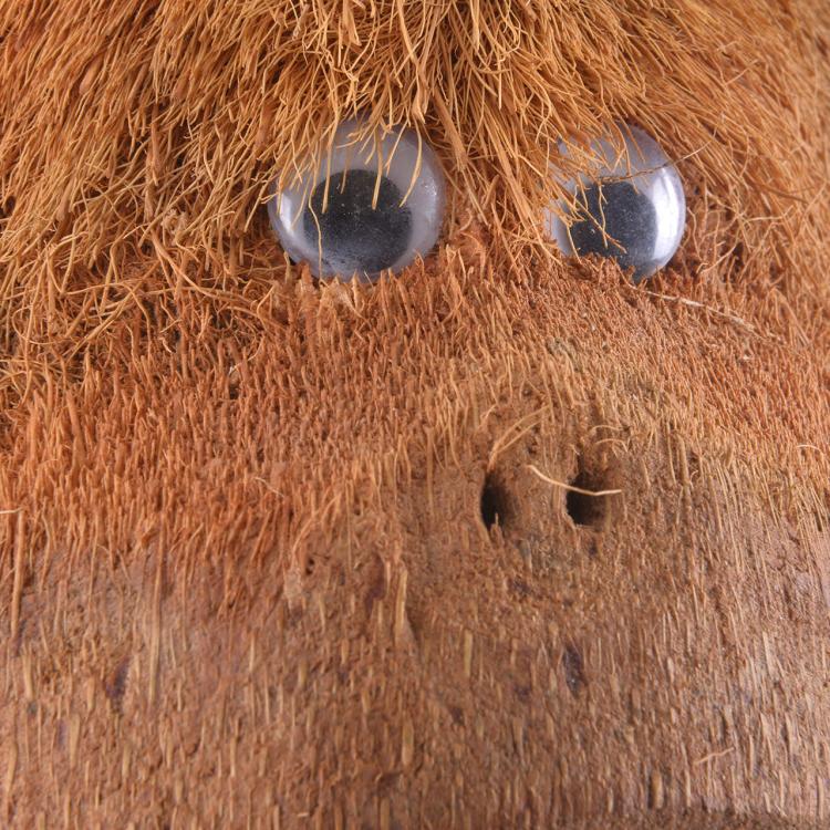 Kokosová opice – hračka pro střední a velké papoušky ParrotPlanet.cz