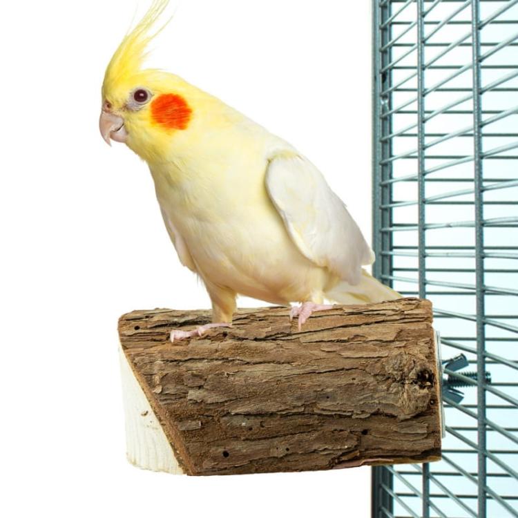 Kovová miska pro papoušky – závěsná – 560 ml od ParrotPlanet.cz