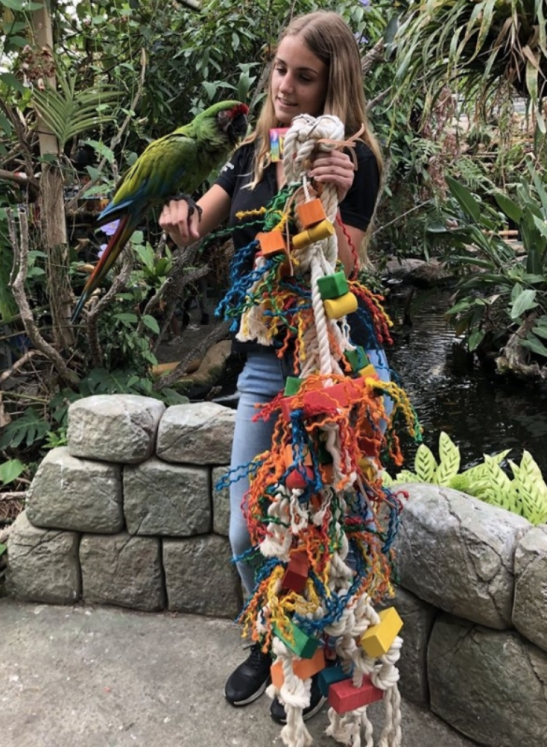 Pravděpodobně Největší Hračka pro Papoušky na Světě XXL – 165 cm - 15 kg !! OD PARROTPLANET.cz
