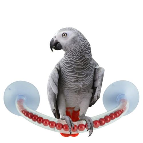 Bidýlko do sprchy L – pro střední a velké papoušky od ParrotPlanet.cz