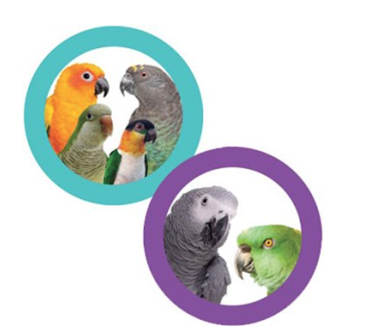 Stěna obratnosti II – obohacující podložka pro papoušky od ParrotPlanet.cz