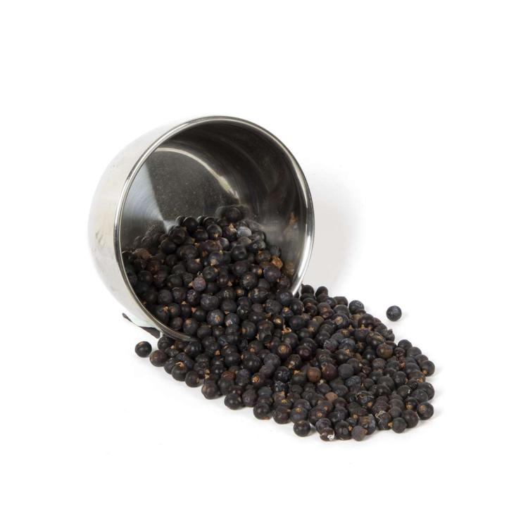 Wagner's Křupavé jalovcové bobule pro všechny papoušky 150 g od ParrotPlanet.cz