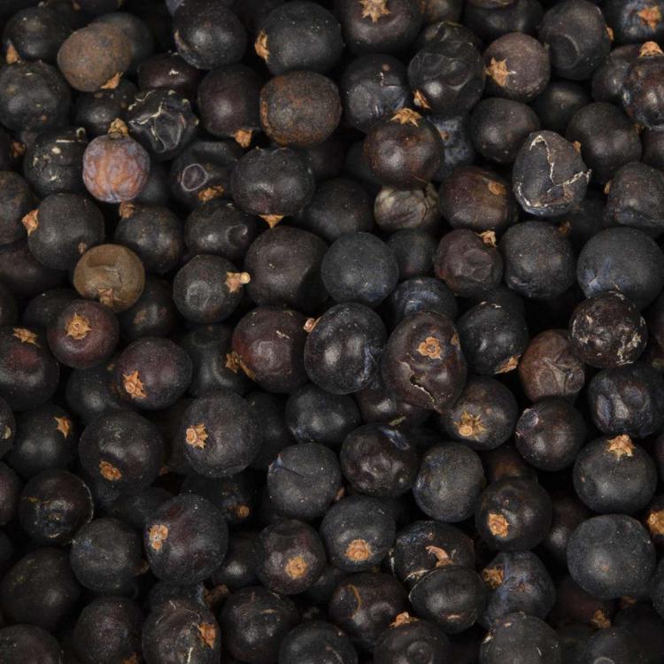 Wagner's Křupavé bobule rakytníku pro papoušky 150 g od ParrotPlanet.cz