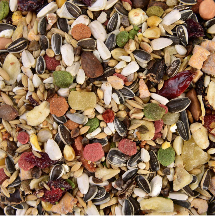 African Grey parrot Wagner's | Krmivo pro papoušky | Směs pro každodenní výživu 0,5 kg od ParrotPlanet.cz