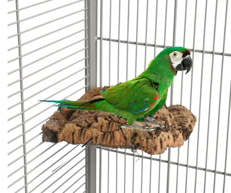 Rohový bidélko z korkové kůry dubu, velikost M – pro střední papoušky od ParrotPlanet.cz