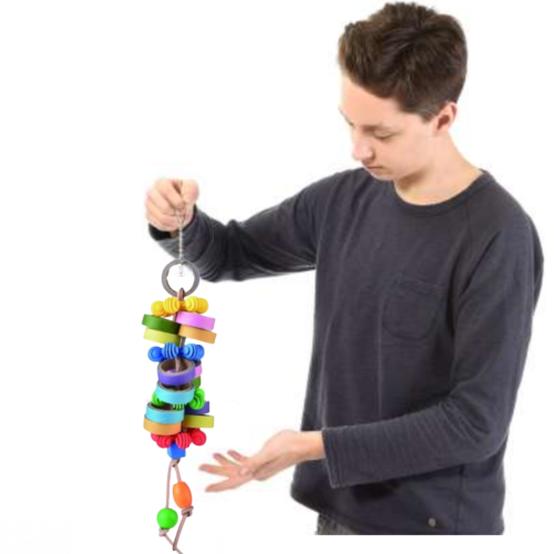 Premium Parrot Food – Ekologický jackfruit – plody chlebovníku – pro všechny papoušky 50 g od ParrotPlanet.cz