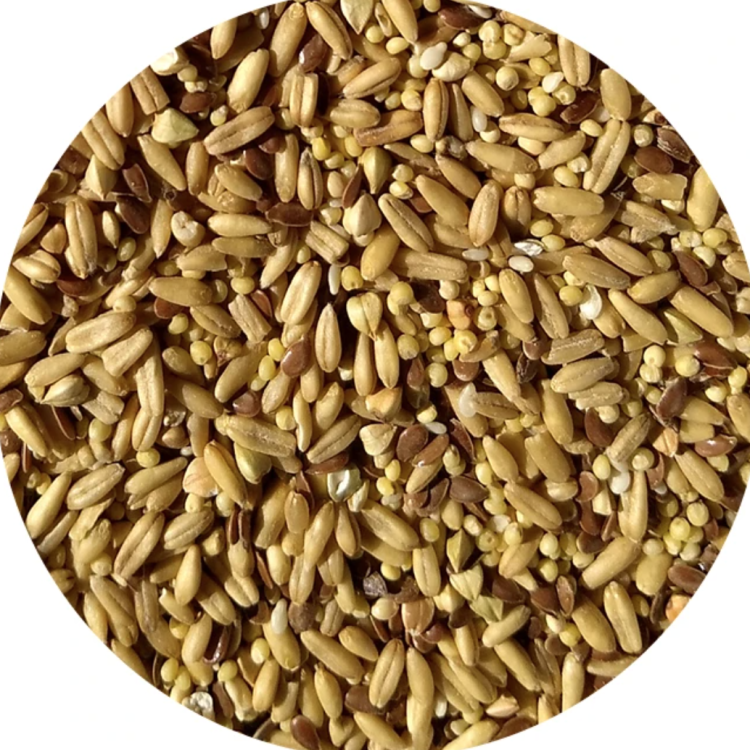 TTop's Napoleon's Seed Mix – Organická směs pro klíčení pro malé papoušky 453 g od ParrotPlanet.cz