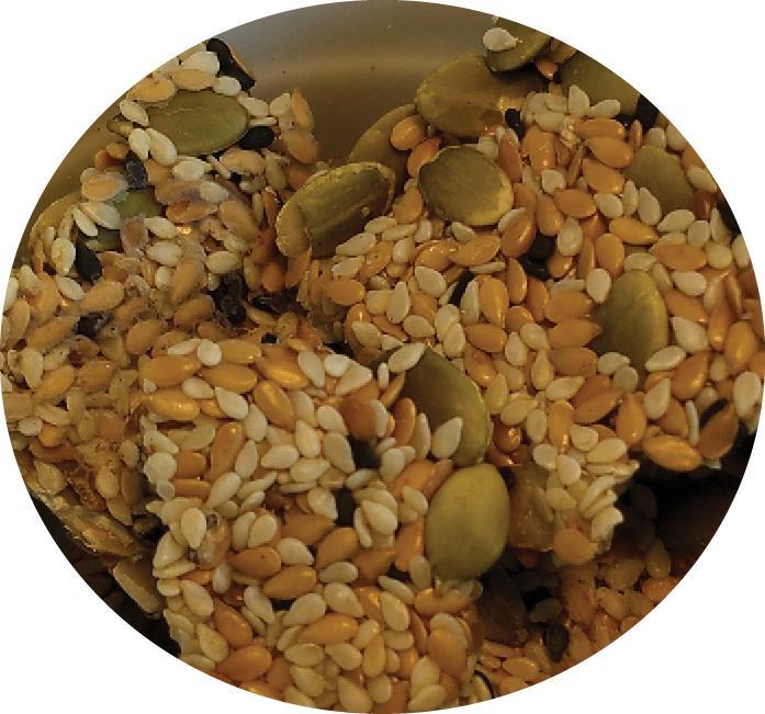 Top's Tesoro Parrot Treat - VEGGIE - Ekologická pochoutka pro papoušky se zeleninou 44 g  od ParrotPlanet.cz