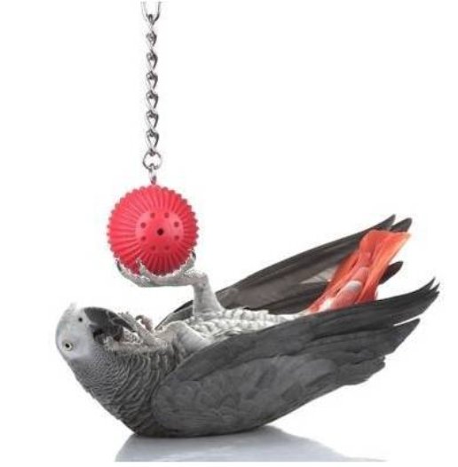 Zeleninové kuličky | Lahodná pochoutka | Hračka do zobáčku | pro všechny papoušky 6 kusů od ParrotPlanet.cz