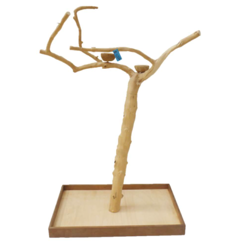 Strom JAVA Vysoký rozměr L – rozměry stromků cca 120–160 cm SKUTEČNÁ FOTOGRAFIE od parrotplanet.cz