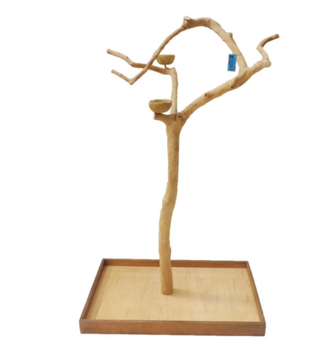 Strom JAVA Vysoký – velikost L – rozměry stromků cca 120–160 cm SKUTEČNÁ FOTOGRAFIE od parrotplanet.cz