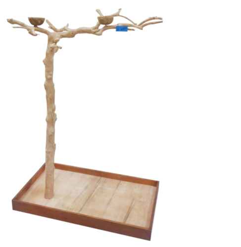 Strom JAVA vysoký  - velikost L - rozměry stromů cca 120-160 cm SKUTEČNÁ FOTOGRAFIE od parrotplanet.cz