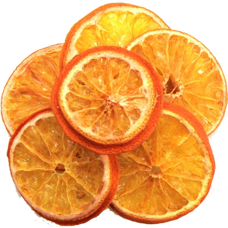 Tropical Carnival Natural Orange Slices Pet Bird Treats – plátky pomeranče – přírodní vitamín C pro všechny papoušky 21 g od parrotplanet.cz