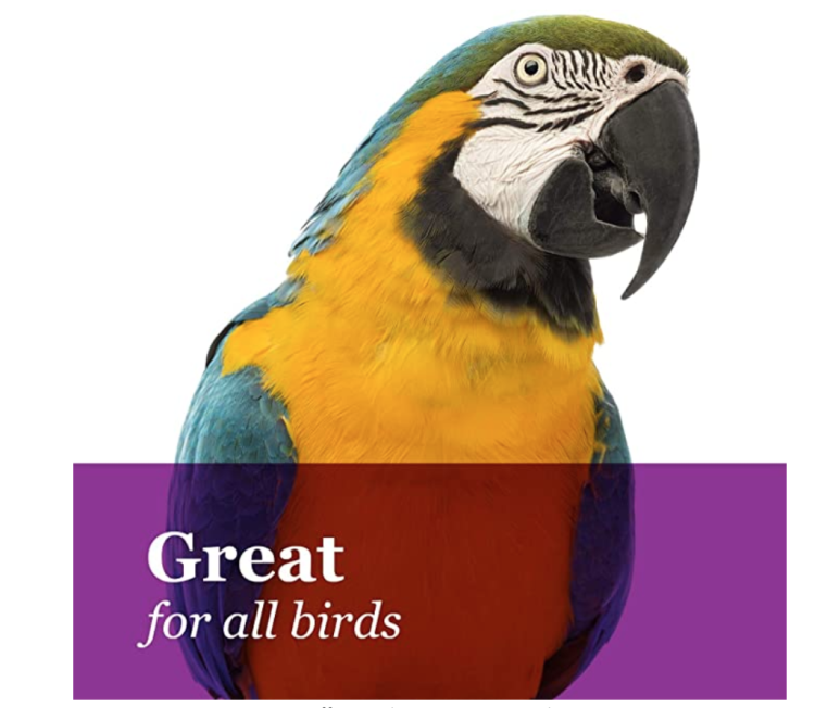 Tropical Carnival Natural Orange Slices Pet Bird Treats – plátky pomeranče – přírodní vitamín C pro všechny papoušky 21 g od parrotplanet.cz