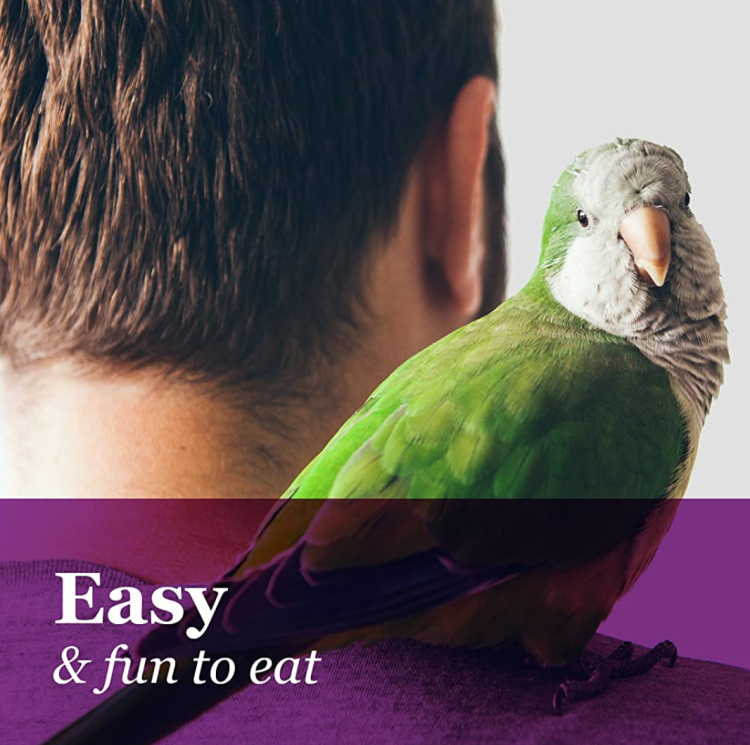 Tropical Carnival Natural Mini Spray Millet - Proso pro všechny papoušky 113 g od parrotplanet.cz