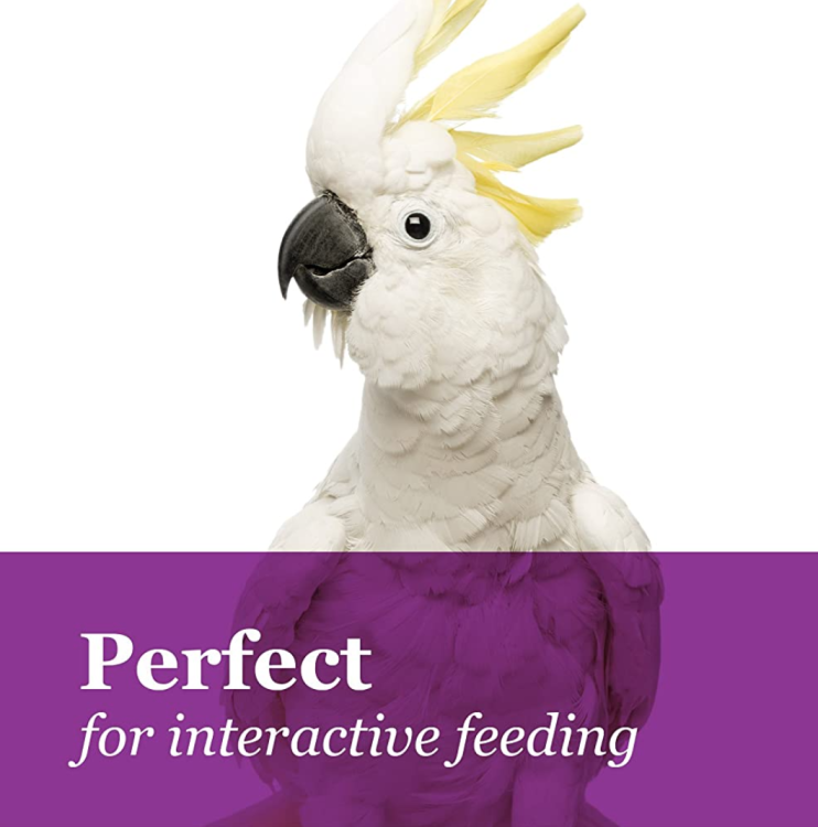 Tropical Carnival Natural Foxtail Millet Jumbo Sprays – Proso pro malé papoušky (nymfy, vlnkované papoušky, nekorálky, kanárky, tropické papoušky) 113 g od parrotplanet.cz