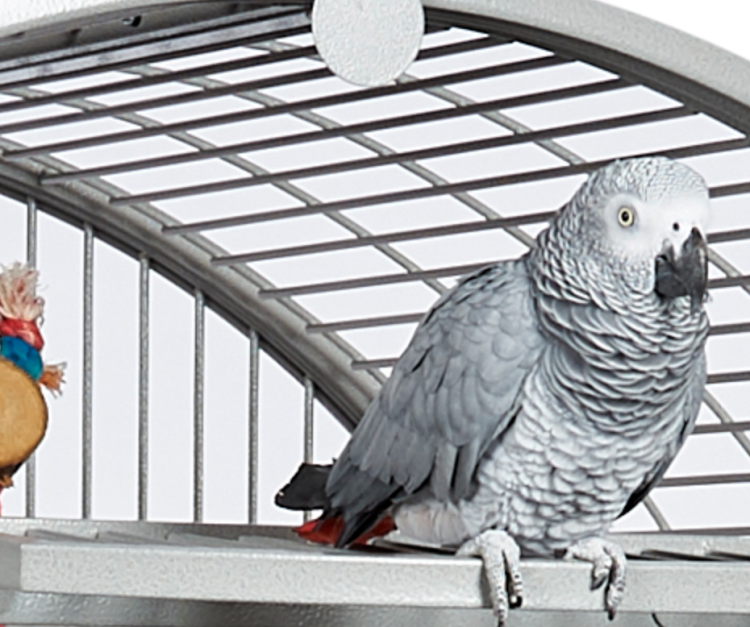 Klec pro papoušky Rainforest Santos Dome – světlá od ParrotPlanet.cz