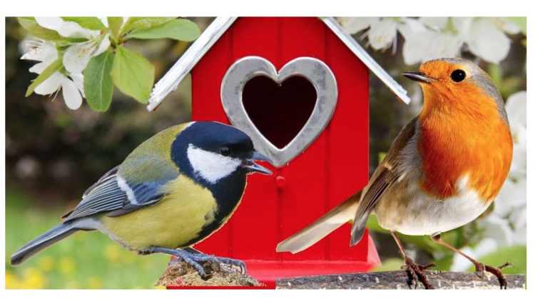 Claus Gartenvogelfutter - krmivo pro zahradní ptáky 500 g od ParrotPlanet.cz