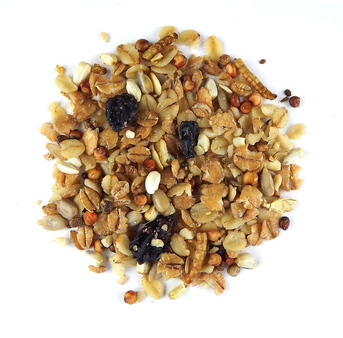 Claus Spatzenfutter – krmivo pro vrabce 700 g od ParrotPlanet.cz