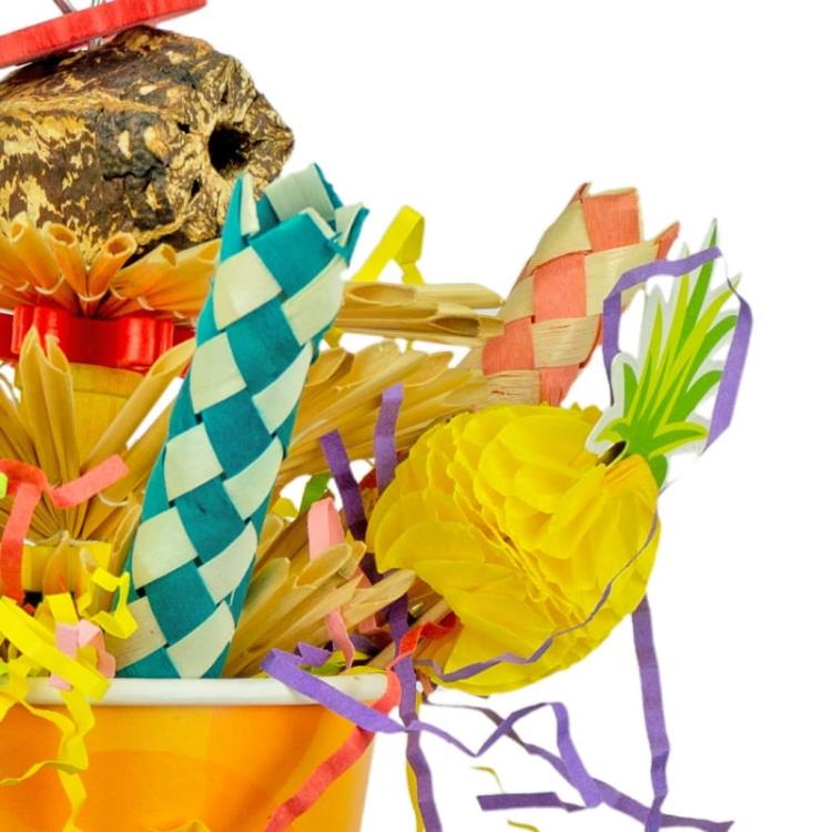 Sluneční den – hračka pro všechny papoušky od ParrotPlanet.cz