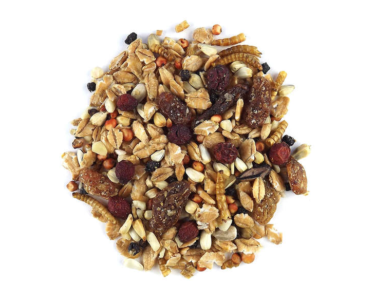 Claus Herbstzauber – Claus „Podzimní kouzlo“ krmivo pro volně žijící a zahradní ptáky 700 g od ParrotPlanet.cz