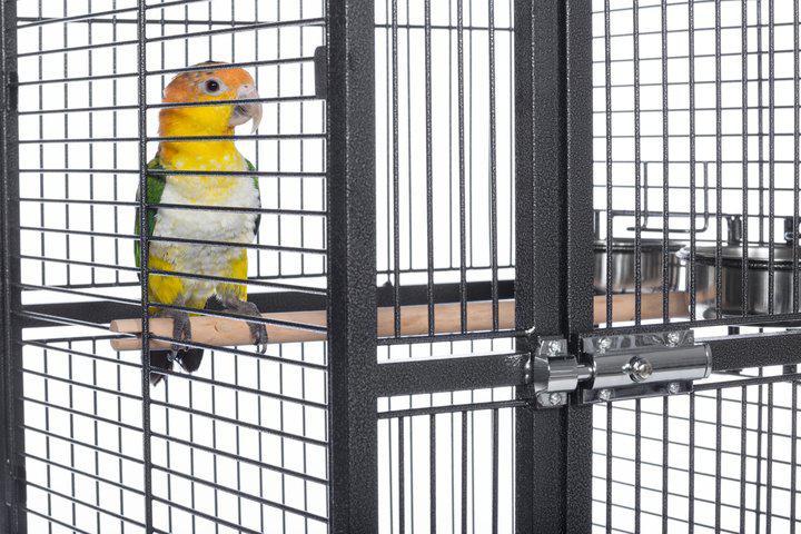 Prevue Pet - Small Dome Top - Klec pro střední papoušky z tepaného železa - tmavá od ParrotPlanet.cz