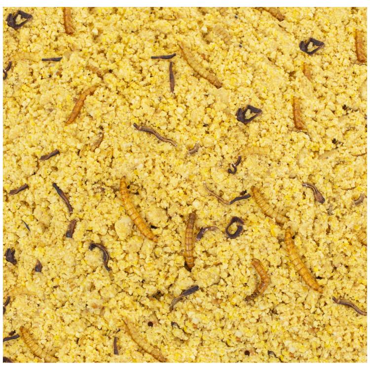 JR FARM Peanut Bar – ořechová tyčinka s žížalami a moučkovými červy 2 kusy 700 g od ParrotPlanet.cz