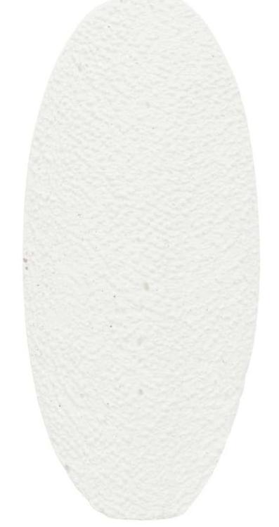 Sépie pro všechny papoušky  11 cm, 40 g od ParrotPlanet.cz