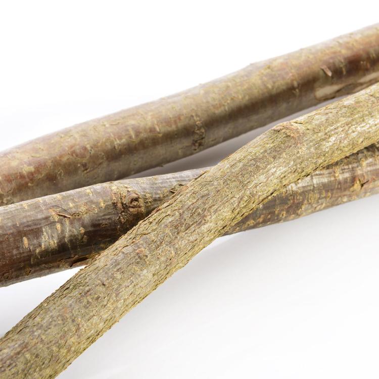 Přírodní bidélko s kůrou 1 m, velikost XS – bez upevnění, pro malé papoušky od ParrotPlanet.cz