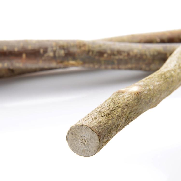 Přírodní bidélko s kůrou 1 m, velikost XS – bez upevnění, pro malé papoušky od ParrotPlanet.cz