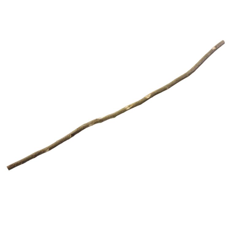 Přírodní bidélko s kůrou 1 m, velikost XS – bez upevnění, pro malé papoušky od ParrotPlanet.cz