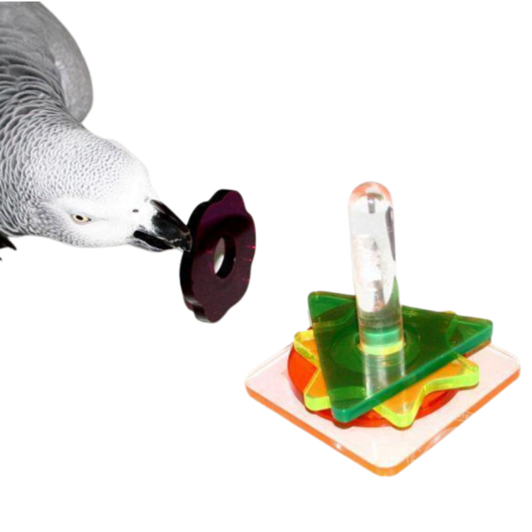 Hračka Alexův trik – logická hračka pro papoušky od ParrotPlanet.cz