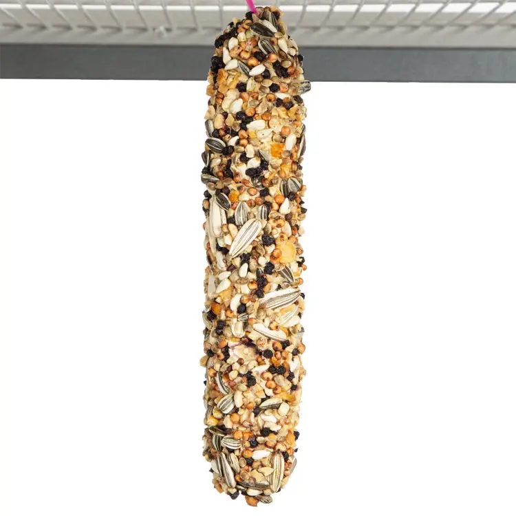 Kolby WAGNER Ovocno-ořechové Rozkosz JUMBO XL – kolba Fruit &amp; Nut 250 g od ParrotPlanet.cz
