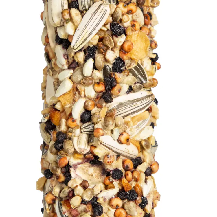 Kolby WAGNER Ovocno-ořechové Rozkosz JUMBO XL – kolba Fruit &amp; Nut 250 g od ParrotPlanet.cz