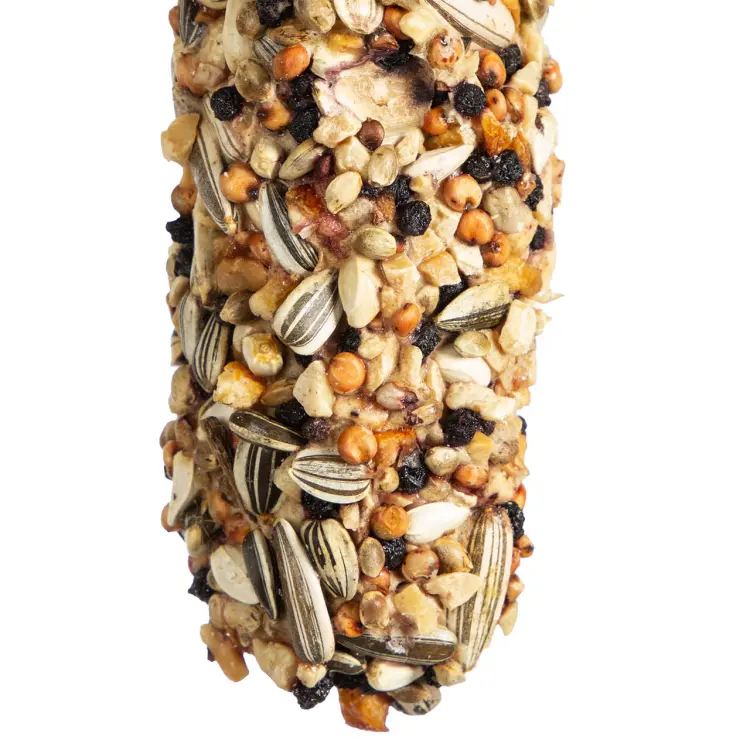 Kolby WAGNER Ovocno-ořechové Rozkosz JUMBO XL – kolba Fruit &amp; Nut 250 g od ParrotPlanet.cz