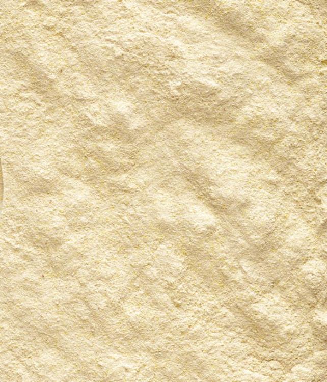 Versele Laga Orlux Handmix 500 g – krmivo pro ruční odchov mláďat od ParrotPlanet.cz