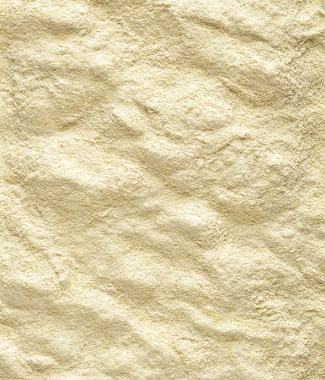 Versele Laga NutriBird A19 3 kg – krmivo pro odchov mláďat (19 % bílkovin) od ParrotPlanet.cz