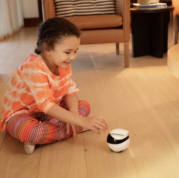 EBO SE – ovladatelná kamera pro sledování papoušků a jiných zvířat od ParrotPlanet.cz