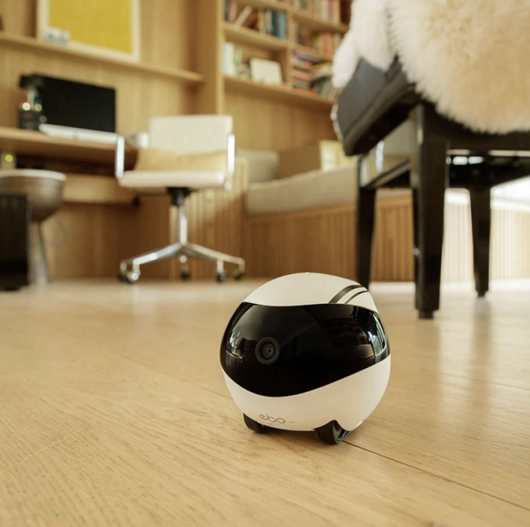 EBO SE – ovladatelná kamera pro sledování papoušků a jiných zvířat od ParrotPlanet.cz