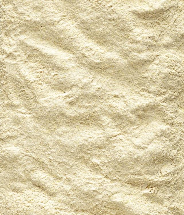 Versele Laga NutriBird A21 800 g – krmivo pro odchov mláďat (21 % bílkovin) od ParrotPlanet.cz