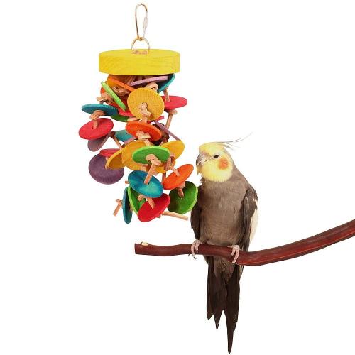 Disky a uzly – dřevěná hračka pro všechny papoušky od ParrotPlanet.cz