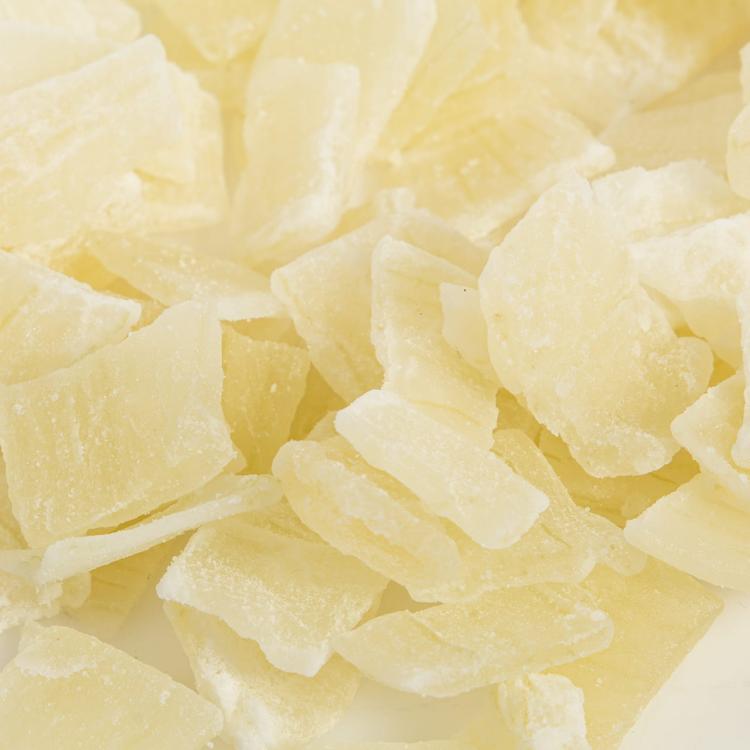 Wagner's - Sušené kousky aloe vera pro papoušky 150 g od ParrotPlanet.cz