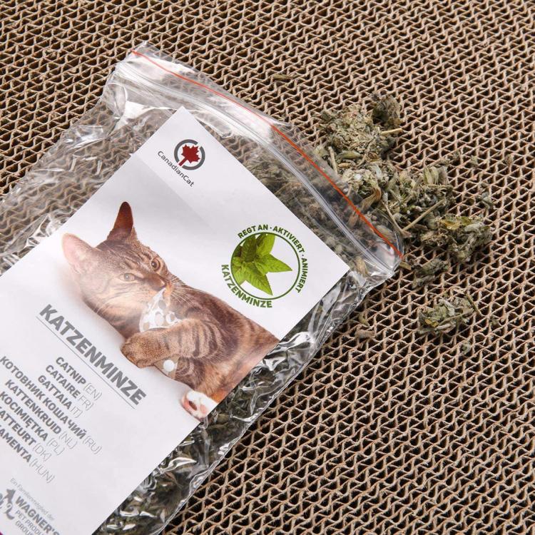 PlayPlate | Hřiště pro kočky se škrabadlem | Canadian Cat | světle šedá od ParrotPlanet.cz