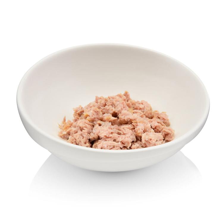 Misky pro kočky | Kočičí bar 2 | Canadian Cat od ParrotPlanet.cz