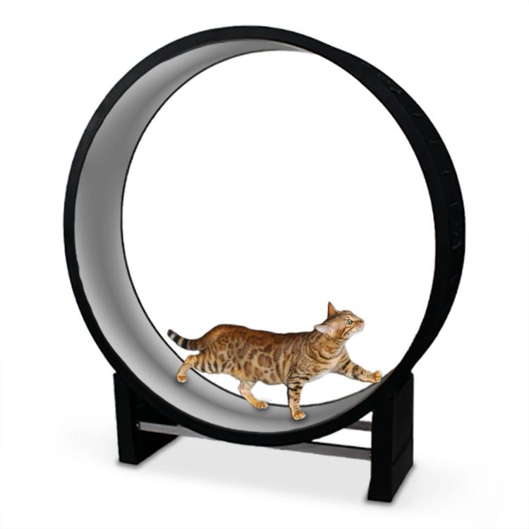 Běžecká dráha pro kočky Canadian Cat Cat in Motion černá a šedá od ParrotPlanet.cz