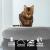 Choupette | Moderní taburet | pelíšek | pro kočky od Canadian Cat | Antracit od ParrotPlanet.cz