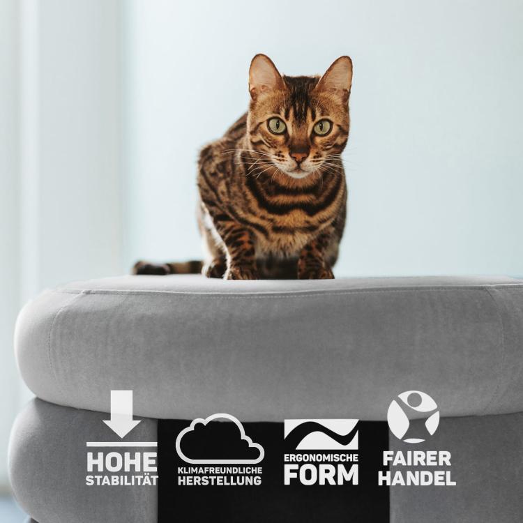 Choupette | Moderní taburet | pelíšek | pro kočky od Canadian Cat | Antracit od ParrotPlanet.cz