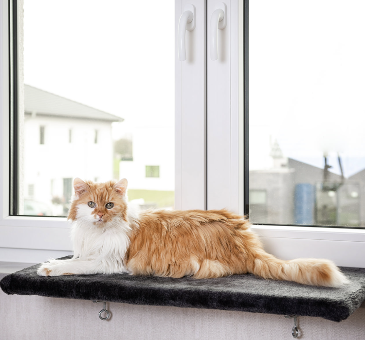 Pelíšek na parapet Canadian Cat pro kočky VELKÝ (L/XL) od ParrotPlanet.cz