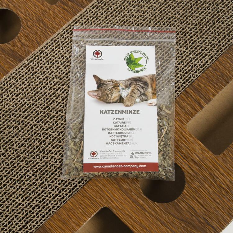 PlayPlate MEDIUM | Hřiště pro kočky se škrabadlem | Canadian Cat od ParrotPlanet.cz